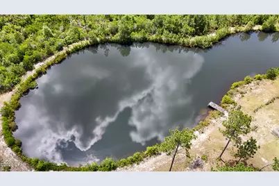 24197 NW Pine Tree Trail, Fountain, FL 32438 - Photo 5