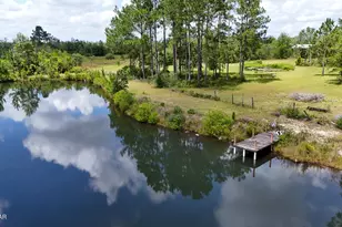 24197 NW Pine Tree Trl, Fountain, FL 32438 - Photo 7