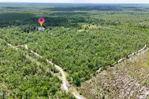 24197 NW Pine Tree Trl, Fountain, FL 32438 - Photo 71