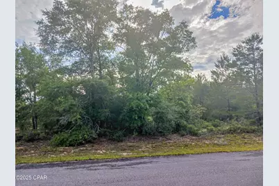 Lot 20 Velvet Drive, Chipley, FL 32428 - Photo 1