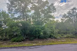 Lot 20 Velvet Dr, Chipley, FL 32428 - Photo 1