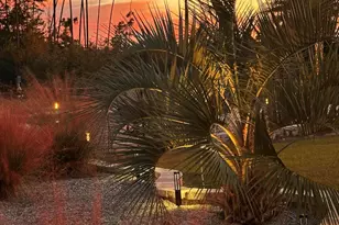 290 Rudy's Blaze, Wewahitchka, FL 32465 - Photo 77