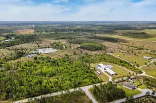 290 Rudy's Blaze, Wewahitchka, FL 32465 - Photo 65