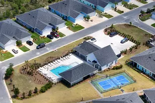 113 Mosaic Dr, Port Saint Joe, FL 32456 - Photo 41