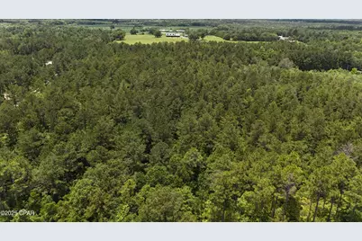 00 N Hwy 79 North, Bonifay, FL 32425 - Photo 5