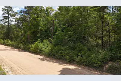 00 E Hwy 90, Bonifay, FL 32425 - Photo 5
