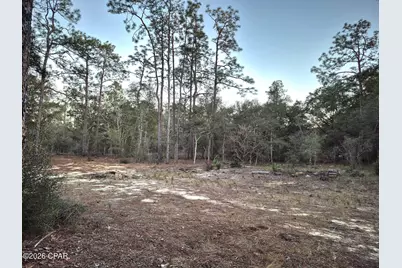 3239 Fox Court, Chipley, FL 32428 - Photo 7