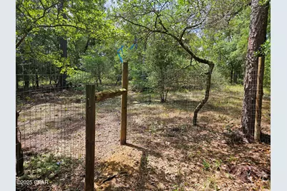 3239 Fox Court, Chipley, FL 32428 - Photo 13