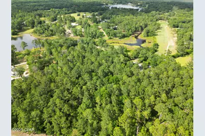 000 Fairway Drive, Bonifay, FL 32425 - Photo 9