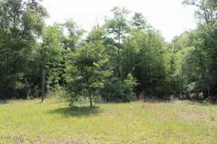 5929 Nichols Rd, Bascom, FL 32423 - Photo 19