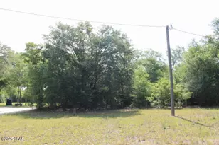 5929 Nichols Rd, Bascom, FL 32423 - Photo 23