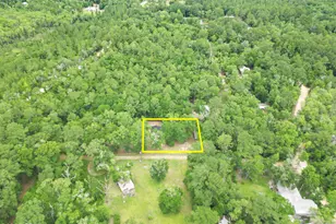 4934 Bluegill Way, Vernon, FL 32462 - Photo 17