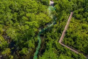 1371 Deadening Rd, Chipley, FL 32428 - Photo 21