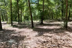 1371 Deadening Rd, Chipley, FL 32428 - Photo 53