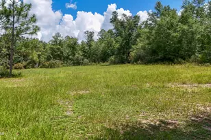 1371 Deadening Rd, Chipley, FL 32428 - Photo 61