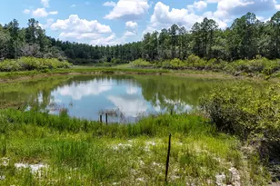 1371 Deadening Rd, Chipley, FL 32428 - Photo 51