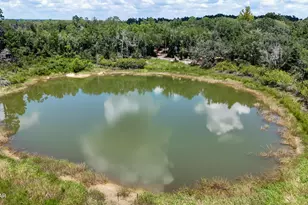 1371 Deadening Rd, Chipley, FL 32428 - Photo 67