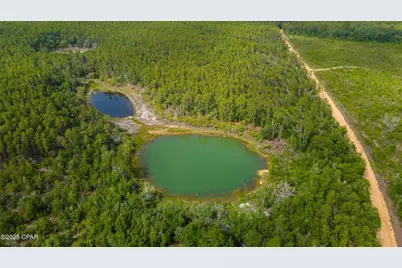 1371 Deadening Road, Chipley, FL 32428 - Photo 17