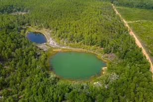 1371 Deadening Rd, Chipley, FL 32428 - Photo 17