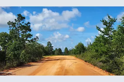 0 Petty Road #Lot 11, Marianna, FL 32448 - Photo 7