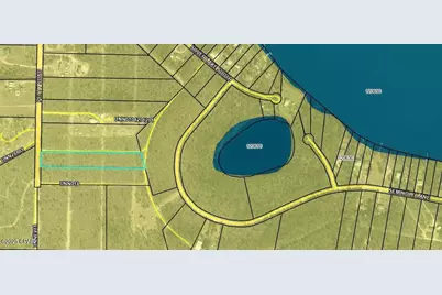 0 Petty Road #Lot 11, Marianna, FL 32448 - Photo 3