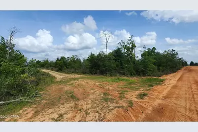 0 Petty Road #Lot 11, Marianna, FL 32448 - Photo 5