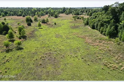 0000 Blue Springs Road, Greenwood, FL 32443 - Photo 7