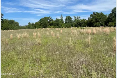 0000 Blue Springs Road, Greenwood, FL 32443 - Photo 9