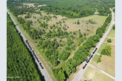 0000 Blue Springs Road, Greenwood, FL 32443 - Photo 3