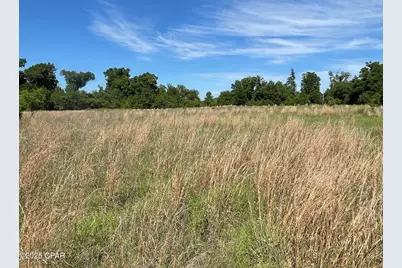 0000 Blue Springs Road, Greenwood, FL 32443 - Photo 11