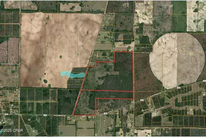 0000 Blue Springs Road, Greenwood, FL 32443 - Photo 13