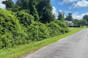 0000 Magnolia Blossom Ln, Marianna, FL 32446 - Photo 1