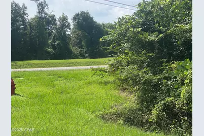 0000 Caverns Road #12, Marianna, FL 32446 - Photo 5