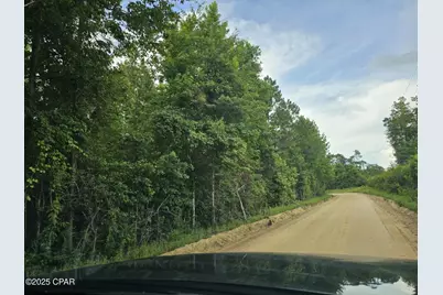 Tbd Obert Road, Cottondale, FL 32431 - Photo 3