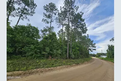 Tbd Obert Road, Cottondale, FL 32431 - Photo 5