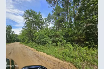 Tbd Obert Road, Cottondale, FL 32431 - Photo 5