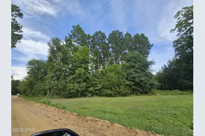 Tbd Obert Road, Cottondale, FL 32431 - Photo 3