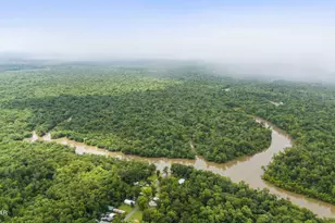 674 Bryant Landing Rd, Wewahitchka, FL 32465 - Photo 41