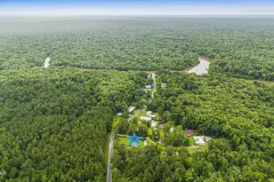 674 Bryant Landing Rd, Wewahitchka, FL 32465 - Photo 1