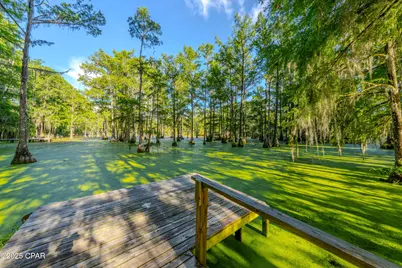 5255 Limestone Lane, Marianna, FL 32446 - Photo 41