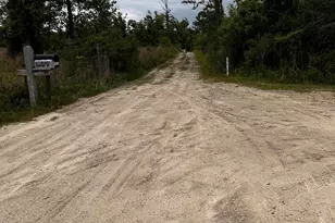 0000 NW Nw Bailey Cemetary, Altha, FL 32421 - Photo 1