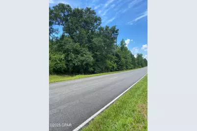 0000 N Hwy 271 Highway, Sneads, FL 32460 - Photo 3