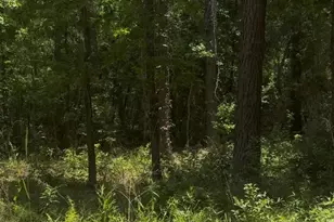 Xxx Ben Rd, Chipley, FL 32428 - Photo 1