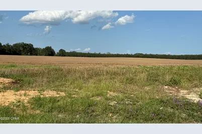 00 Sr-71, Marianna, FL 32448 - Photo 3