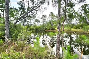 11136 Silver Lake Rd, Fountain, FL 32438 - Photo 21