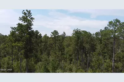 0 Black Hills Street, Alford, FL 32420 - Photo 3