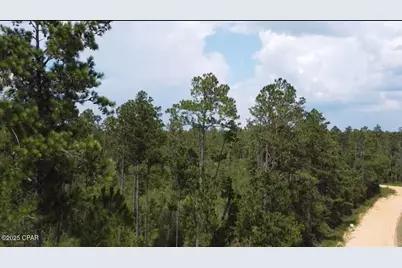 0 Black Hills Street, Alford, FL 32420 - Photo 1