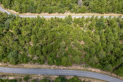 Xxx Ventura Drive, Chipley, FL 32428 - Photo 9