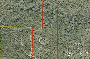 0000 N Name, Defuniak Springs, FL 32433 - Photo 1