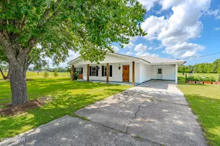 6454 Hartsfield Rd, Greenwood, FL 32443 - Photo 3